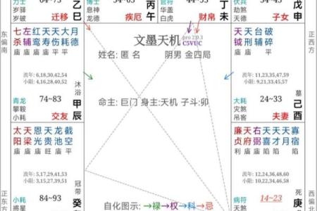 紫微斗数之事业宫与诸星，太阴星在事业宫是什么意思？