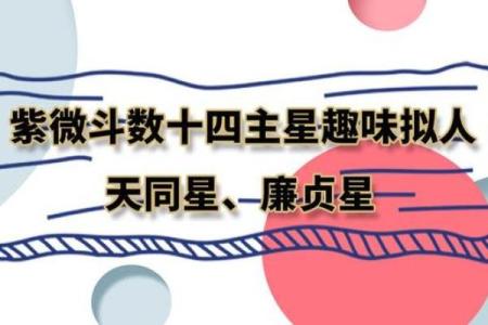 紫薇斗数中年龄