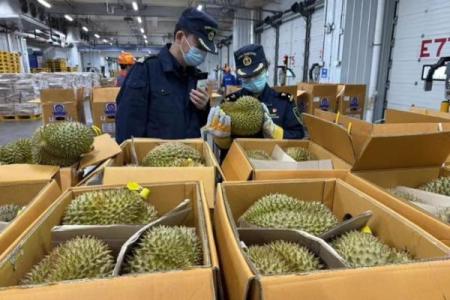 供奉财神爷的水果用榴莲可以吗