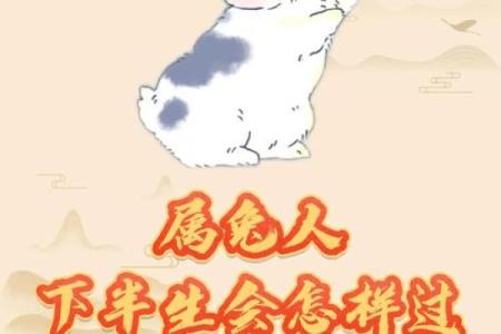 属兔出生最好六个吉日 属兔的出生吉日