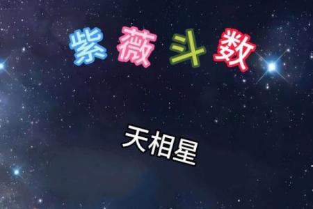 天虚紫薇斗数