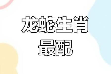 19岁属什么生肖配对 属蛇配对
