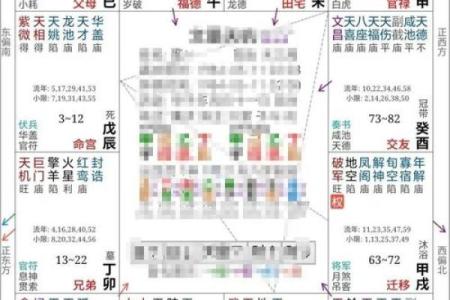 免费紫薇星斗数算命