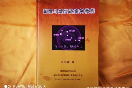 紫微斗数讲座 中州派紫微斗数初级讲义？