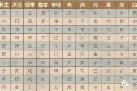 八字命理中的身旺与身弱