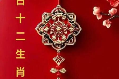 5月11日黄历运势指南（吉运生肖：虎 兔 羊）
