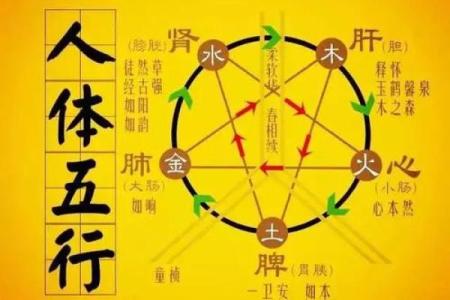 木命老板和土命员工合得来吗？木命的人什么方位工作好？