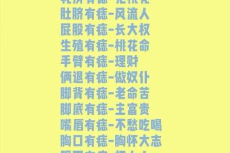 丑人会算命