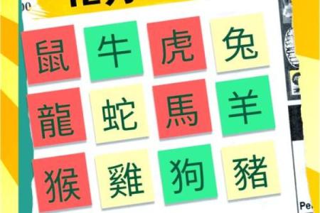 12生肖星座运势完整版
