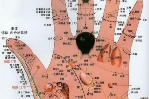 凯帝阿手相算命图解大全03