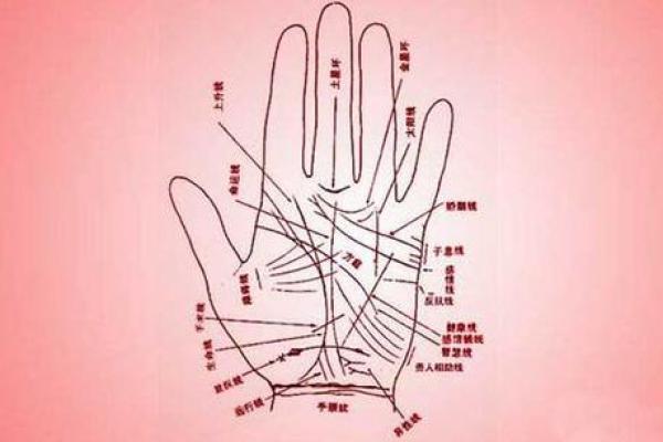 凯帝阿手相算命图解大全03
