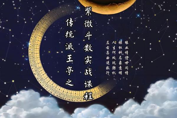 帅哥紫薇斗数