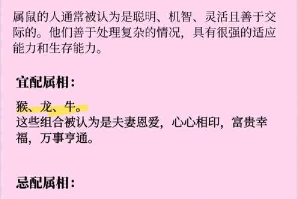 女马男蛇生肖配对姻缘