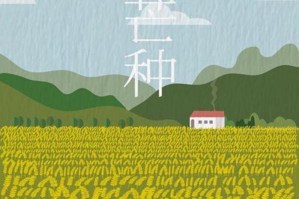 2024年芒种的财神方位在哪？芒种节气的三个物候现象