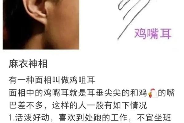 风水面相耳朵垂大的人代表有福气吗