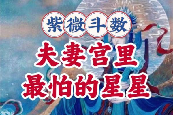 唐艺尹老师：离婚的紫微斗数夫妻宫看法，紫薇斗数好夫妻看法