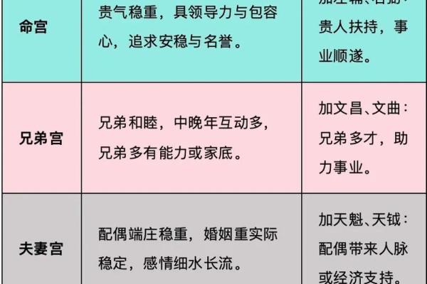 轮回紫薇斗数吧