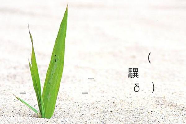 西王母灵签抽签  五路财神灵签抽签
