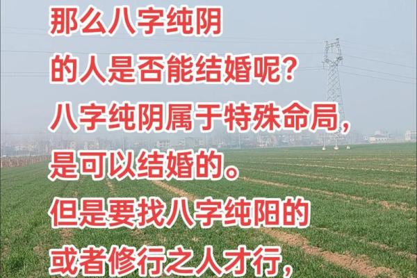 八字纯阴会怎么样 八字纯阴命运如何