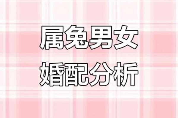生肖属兔合婚须知，属兔配对需要注意的问题！
