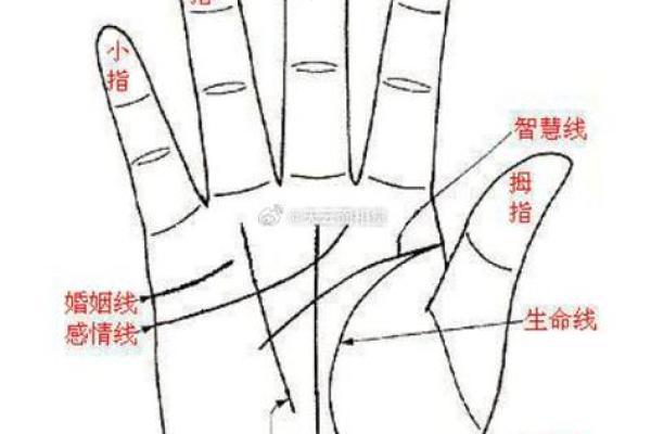 看手相算命图解：手相看婚姻