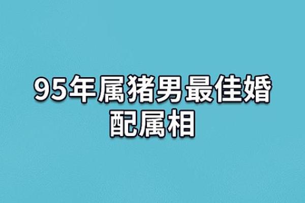 95年属猪女和什么生肖配对最好 什么时候才想要结婚