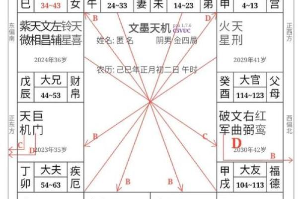 紫薇斗数从戍起子