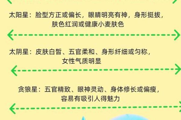 紫薇斗数全文及翻译