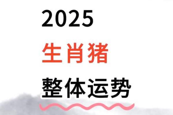 属猪人必知的方位禁忌