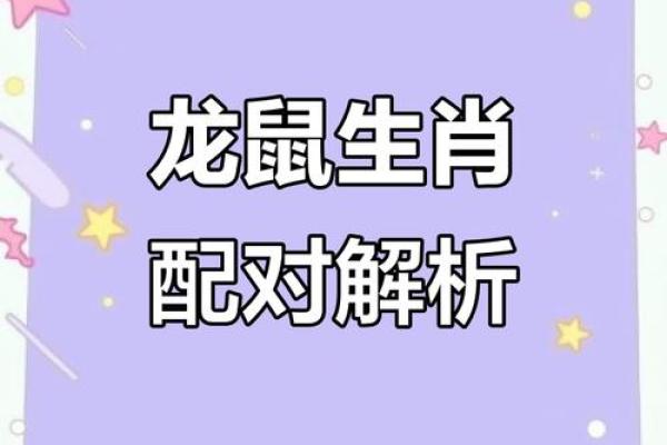 龙跟什么生肖配对最好 生肖龙最佳配对