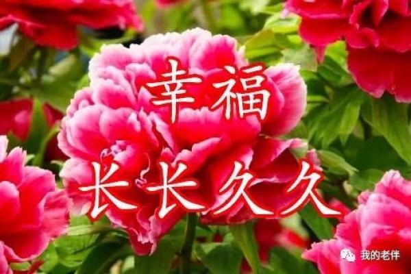 月老灵签签文详解第二十八签：终生幸福