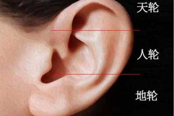 从面相看耳朵，耳朵面相算命图解