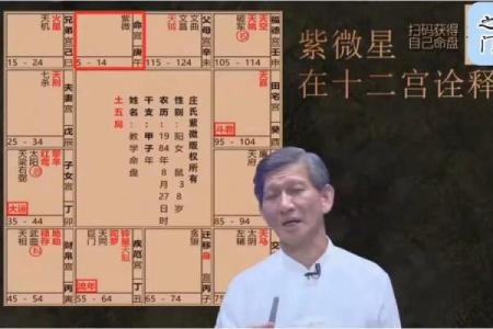 紫微斗数色星 紫微斗数颜色？