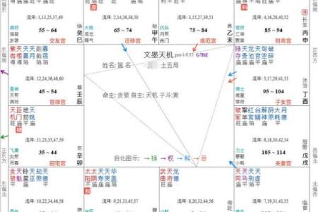 紫微斗数诸星落诸宫之，紫微星：阴土疾厄宫详解