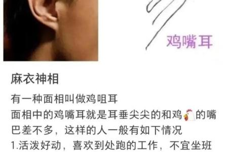 风水面相耳朵垂大的人代表有福气吗