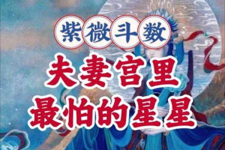 唐艺尹老师：离婚的紫微斗数夫妻宫看法，紫薇斗数好夫妻看法