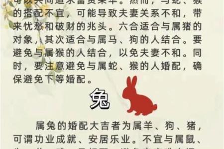 兔猴生肖配对姻缘 兔与猴的婚姻相配吗