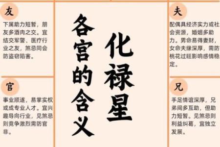 紫薇斗数的星曜属性
