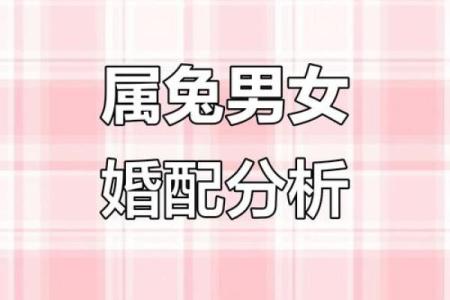 生肖属兔合婚须知，属兔配对需要注意的问题！