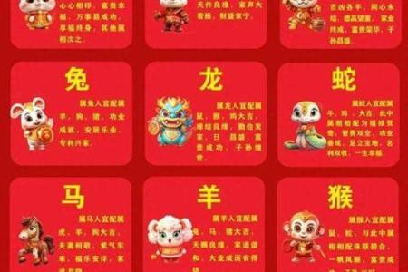 1991年属什么生肖配对