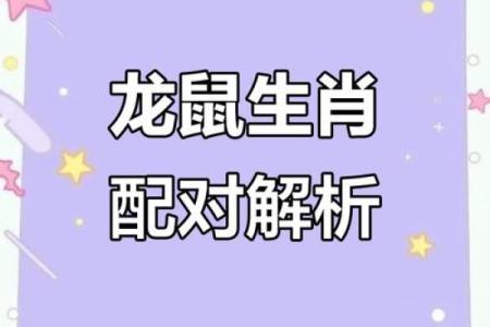龙跟什么生肖配对最好 生肖龙最佳配对