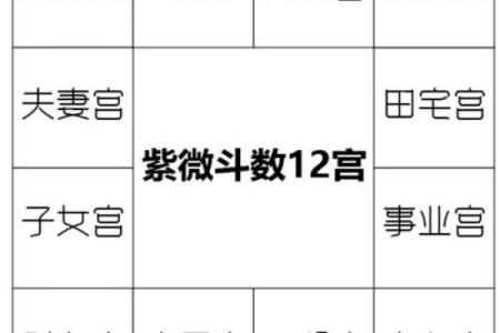 紫薇斗数命宫好