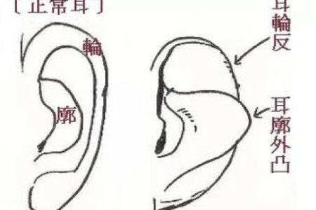 从面相看耳朵，耳朵面相算命图解
