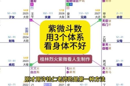 紫薇斗数地盘有什么用
