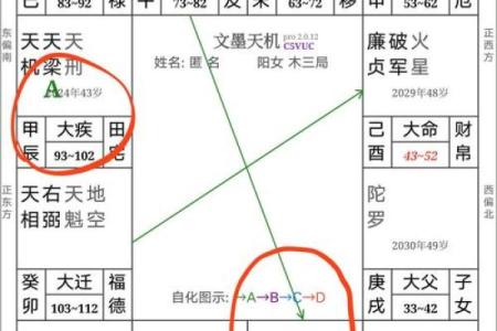 紫微斗数诸星落诸宫之，天梁星：阳土疾厄宫详解