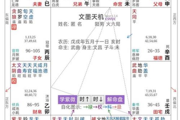 紫薇斗数对冲是什么意思