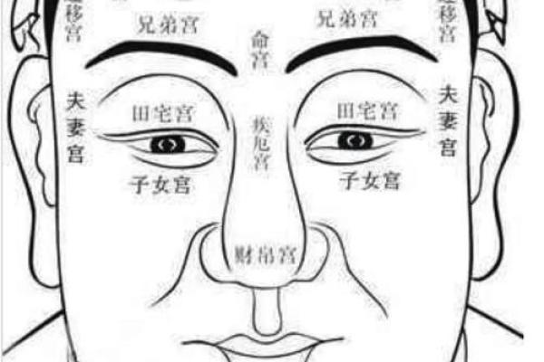 通过脸算命