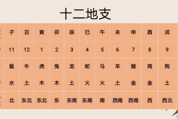 【2024年9月8日】黄历基本情况，宜忌，十二建星，五行，吉凶等