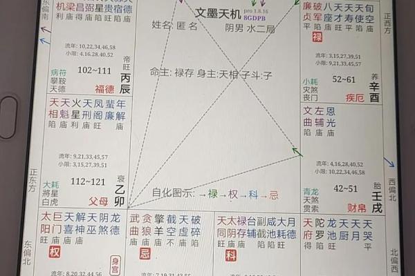 紫薇斗数看创业与否