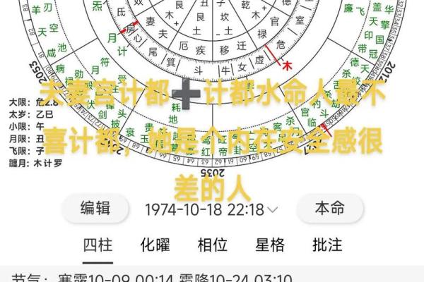 紫薇斗数领导
